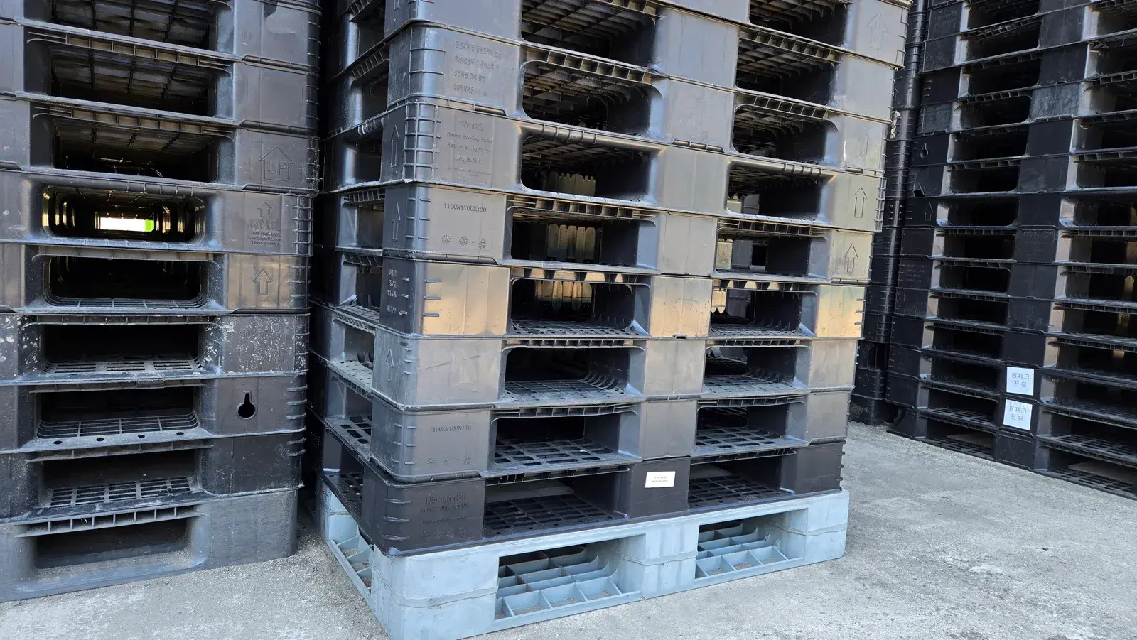 1100×1100x120 수출용 경량 파레트 6KG 썸네일 6